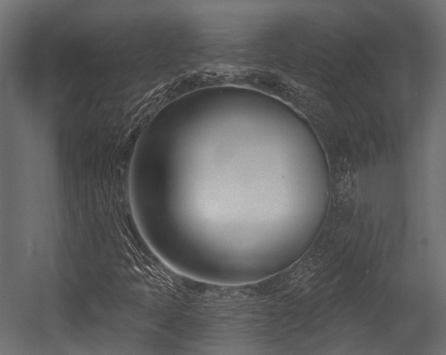 X0000054441397200507291305