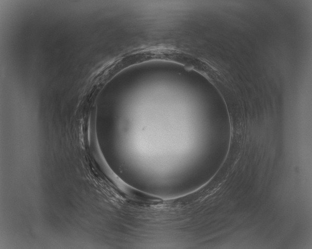 X0000054441398200507291305