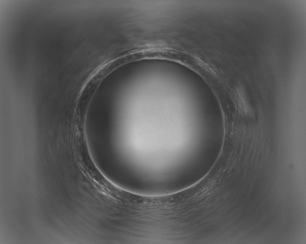 X0000054441400200507291305