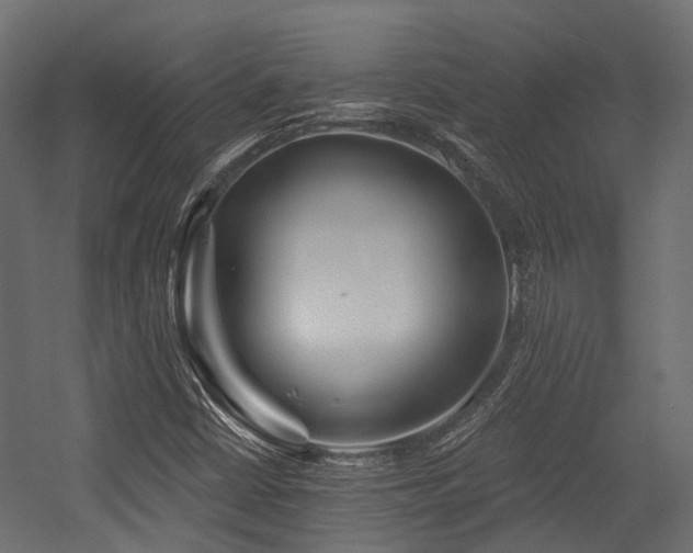 X0000054441402200507291305