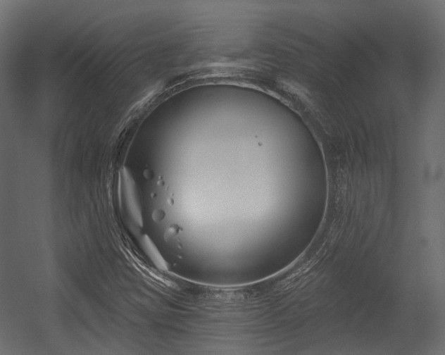 X0000054441403200507291305