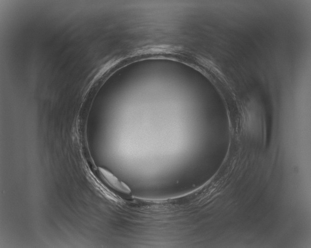 X0000054441404200507291305