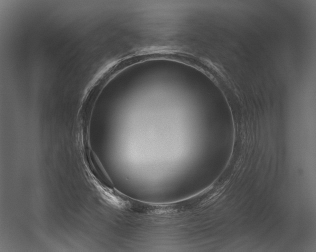 X0000054441406200507291305
