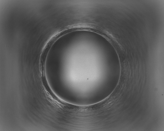 X0000054441408200507291306