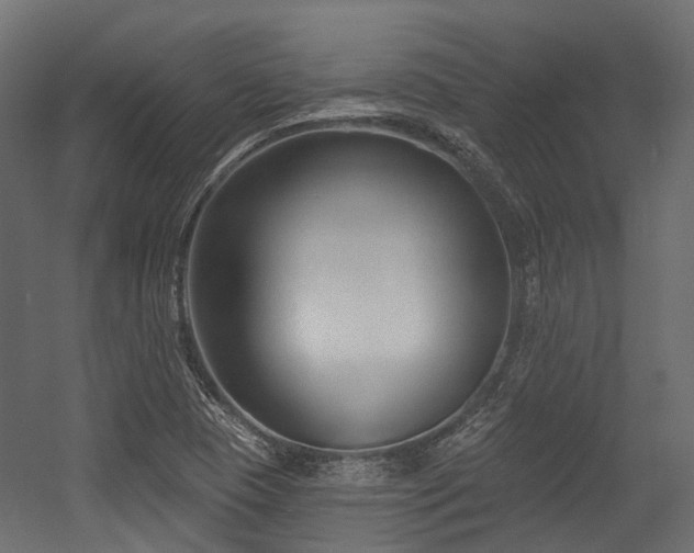 X0000054441409200507291306