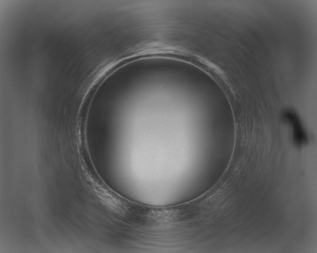 X0000054441415200507291306
