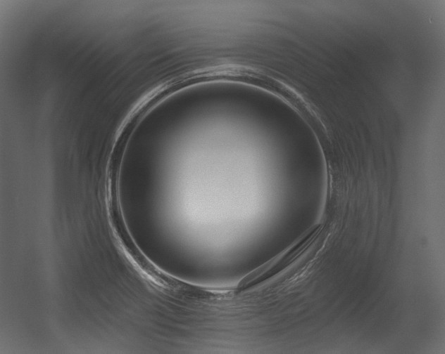 X0000054441418200507291306