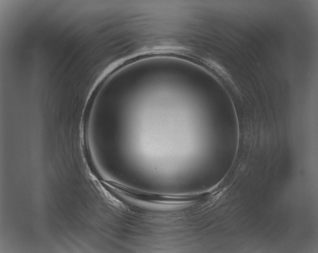X0000054441420200507291306
