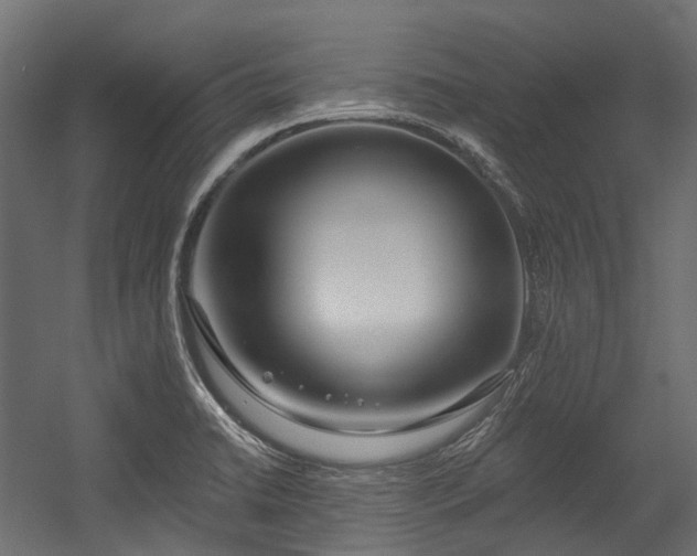 X0000054441422200507291306