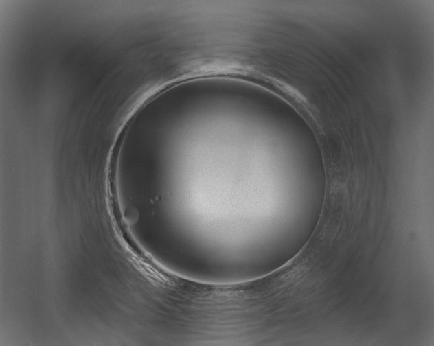 X0000054441423200507291306