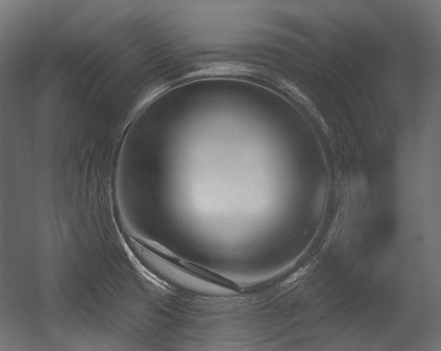 X0000054441425200507291306