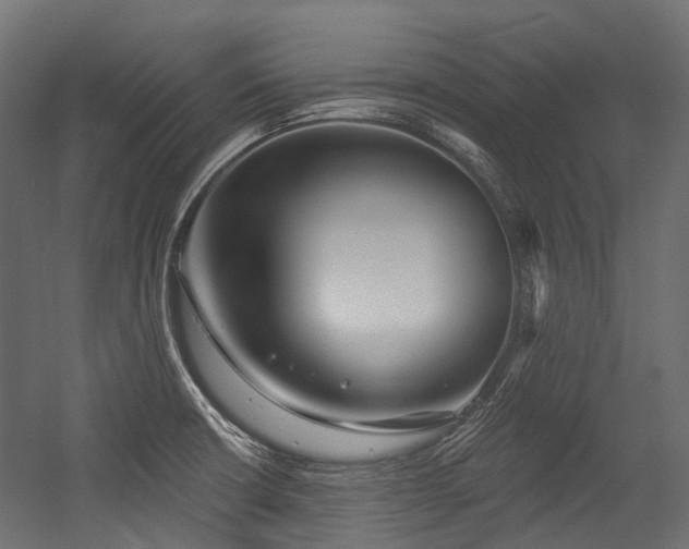 X0000054441426200507291306