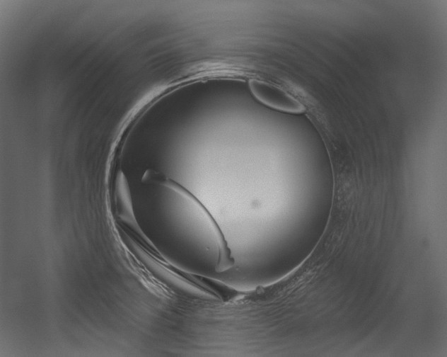 X0000054441427200507291306