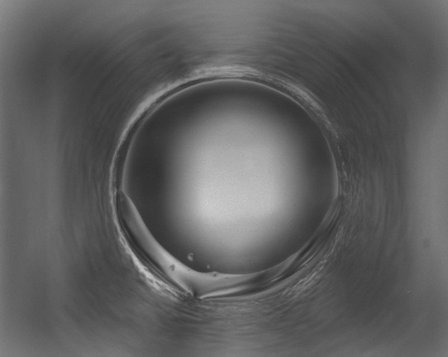 X0000054441430200507291306