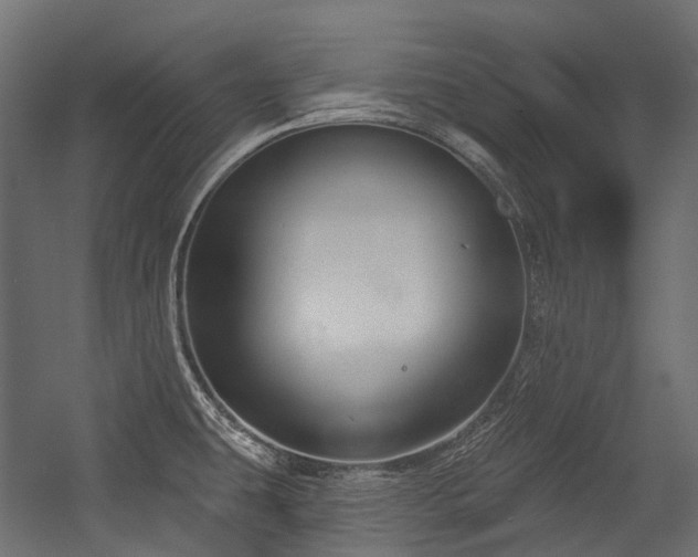 X0000054441431200507291306