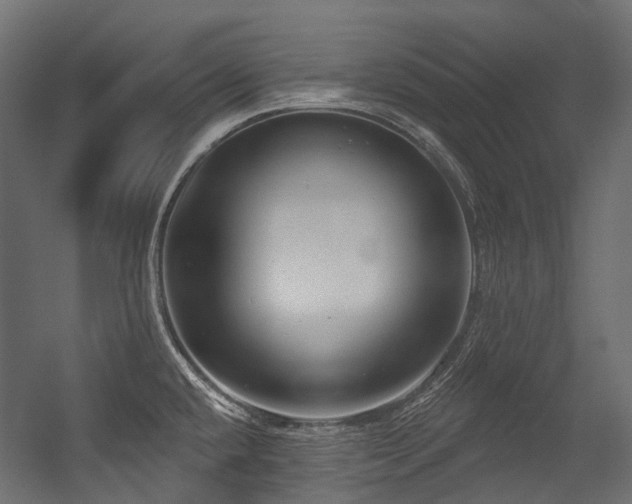X0000054441432200507291306