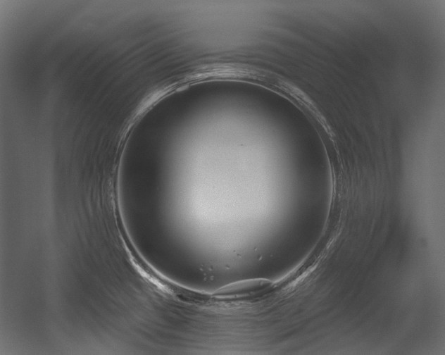X0000054441433200507291306