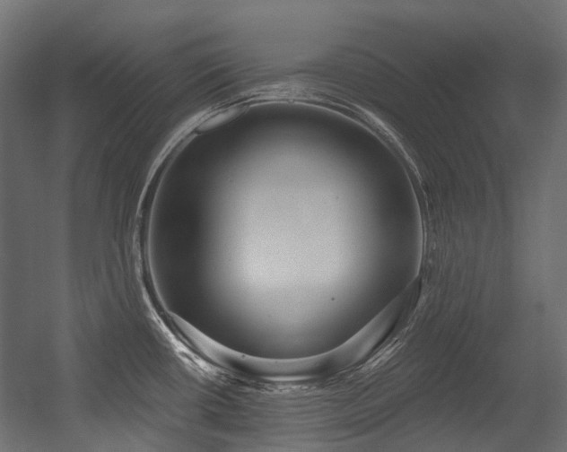 X0000054441434200507291306