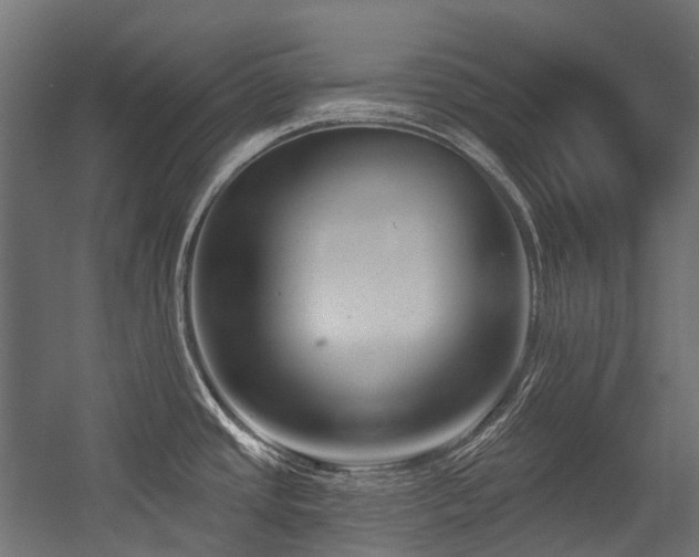 X0000054441437200507291306