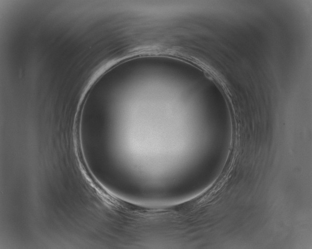 X0000054441440200507291306