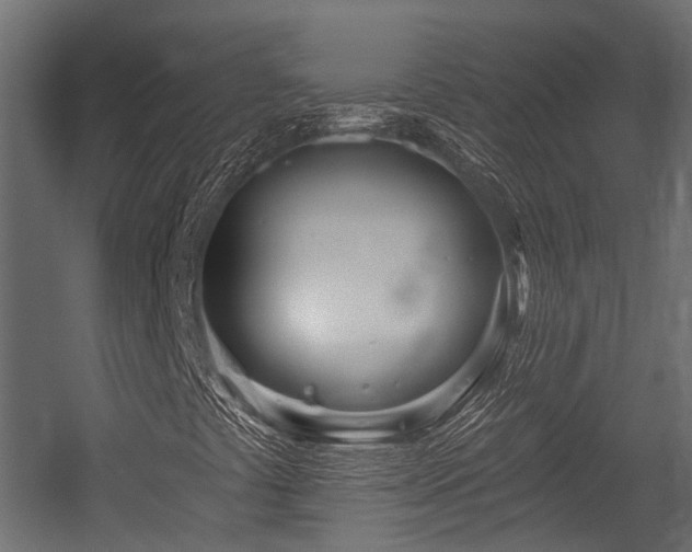 X0000054441441200507291305