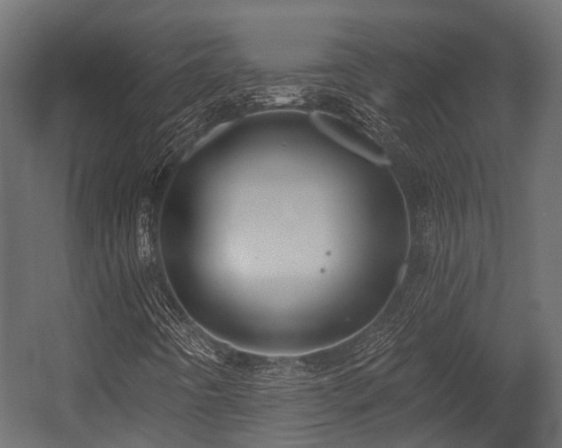 X0000054441442200507291305