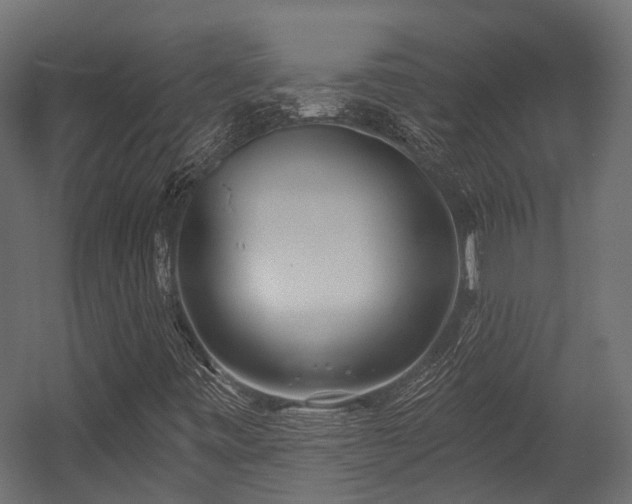 X0000054441443200507291305