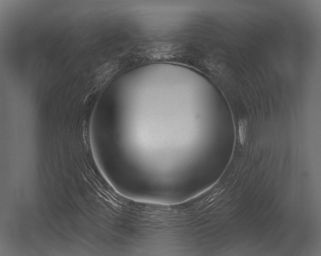 X0000054441444200507291305