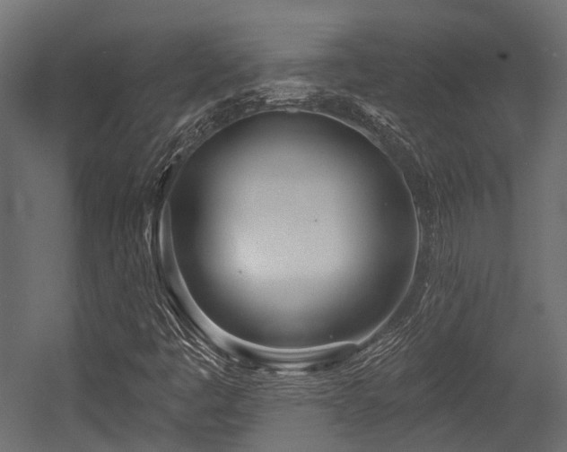 X0000054441445200507291305