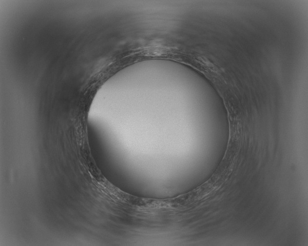 X0000054441446200507291305