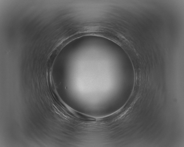 X0000054441449200507291305