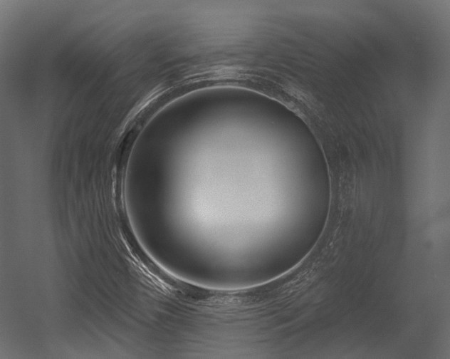 X0000054441450200507291305