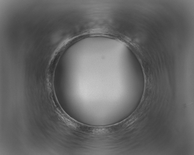 X0000054441454200507291305