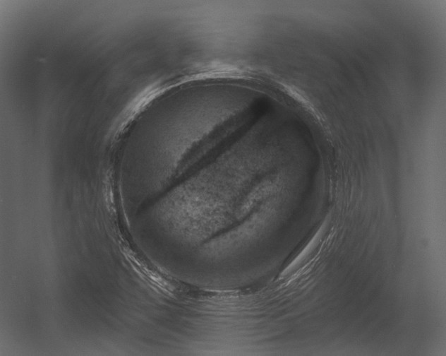 X0000054441455200507291305