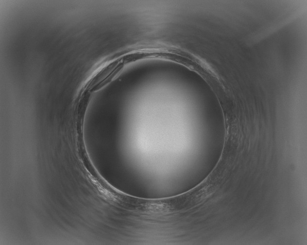 X0000054441456200507291305