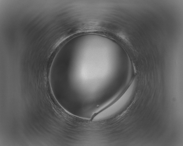 X0000054441457200507291305