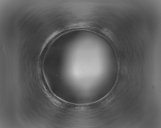 X0000054441458200507291305