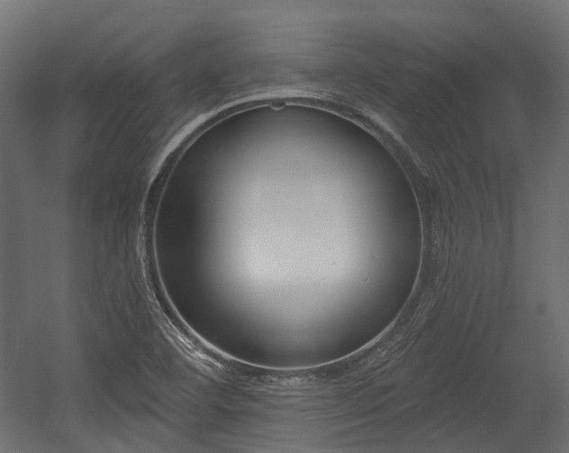 X0000054441460200507291305