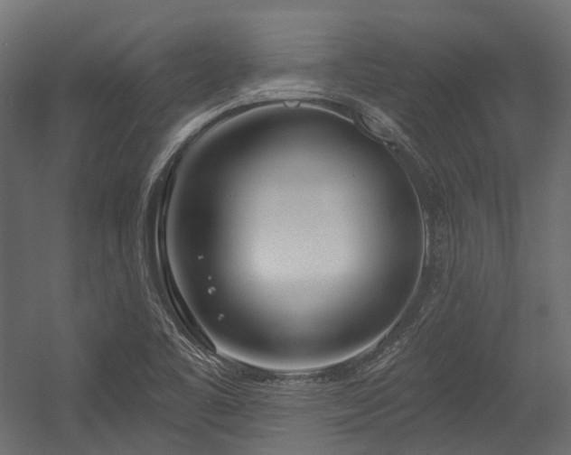 X0000054441461200507291305