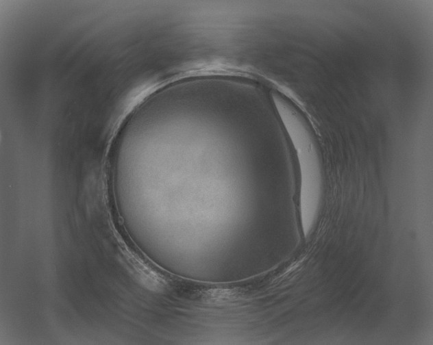 X0000054441463200507291305
