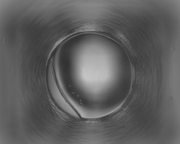 X0000054441465200507291305