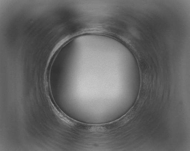 X0000054441466200507291305