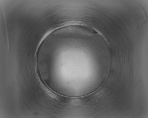 X0000054441467200507291305