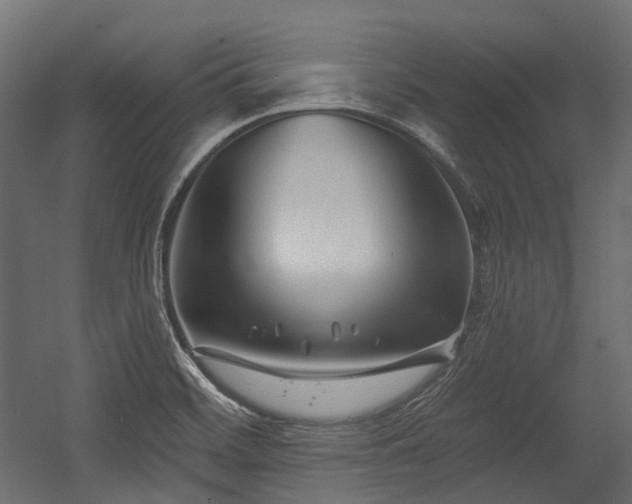 X0000054441468200507291305