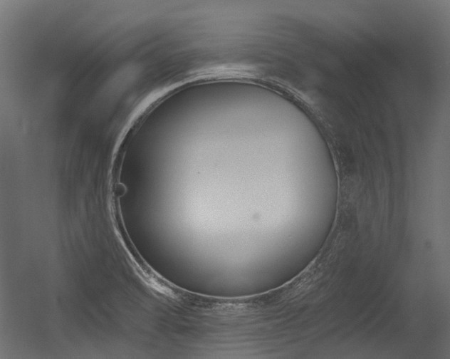 X0000054441470200507291305