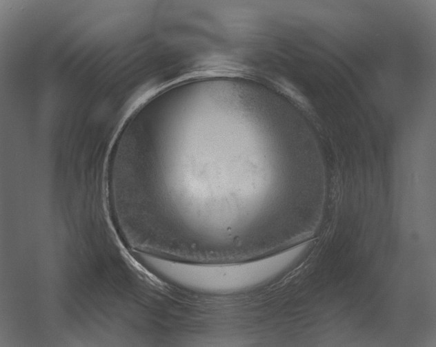 X0000054441471200507291305