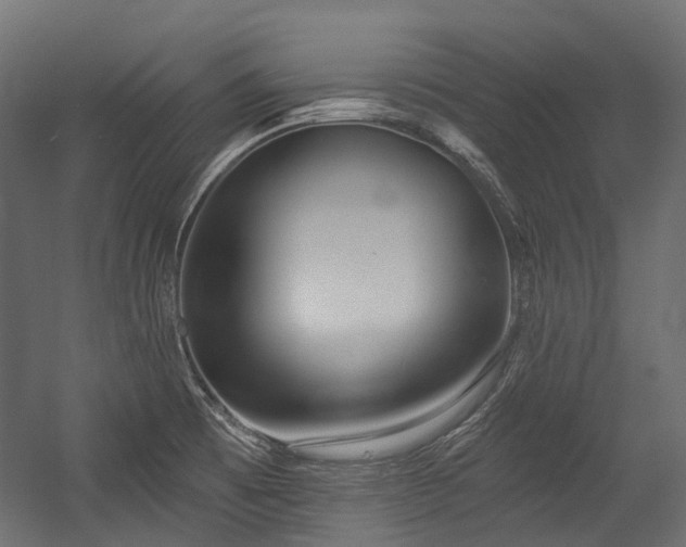 X0000054441473200507291305