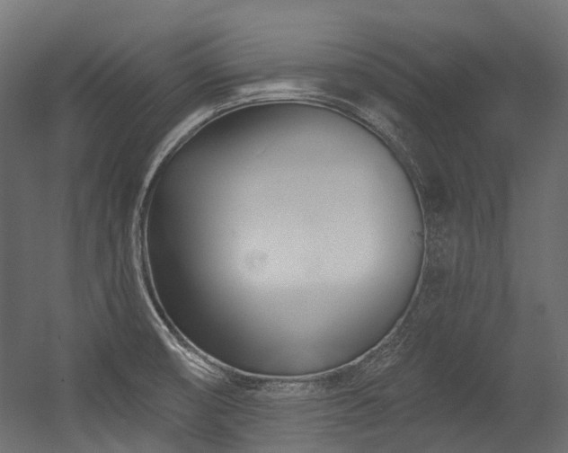 X0000054441474200507291305