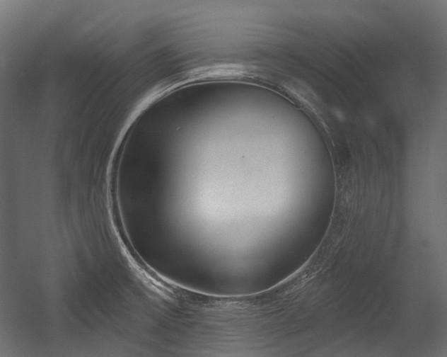 X0000054441475200507291305