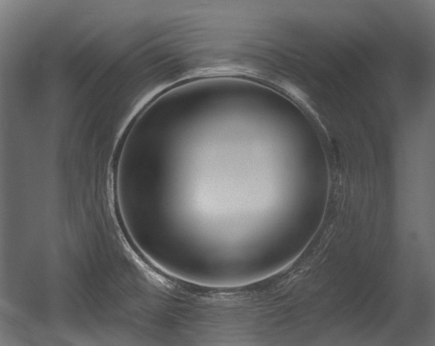 X0000054441476200507291305